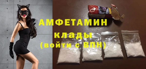 стаф Арсеньев
