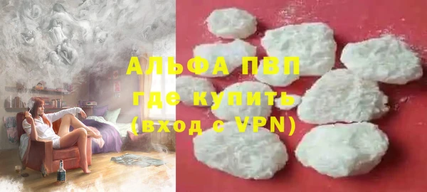 стаф Арсеньев