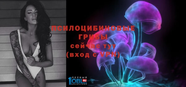 не бодяженный Аркадак