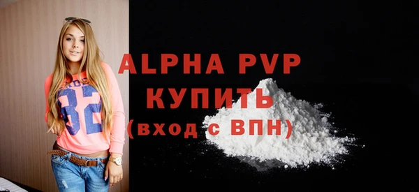 стаф Арсеньев