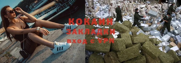 стаф Арсеньев