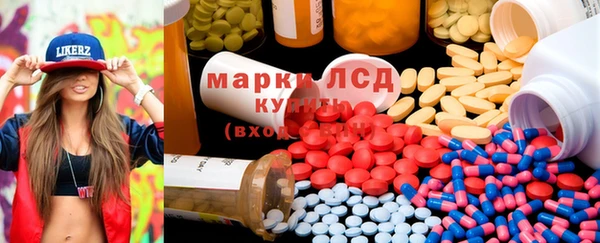 стаф Арсеньев