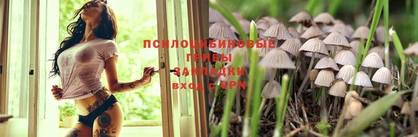не бодяженный Аркадак