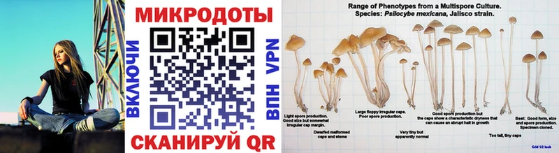 Галлюциногенные грибы GOLDEN TEACHER Купить закладки Нурлат